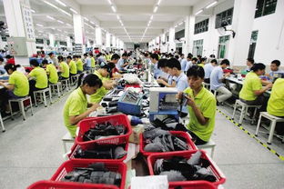 惠东去年产鞋9.2亿双,县政协委员为鞋子 出海 找路子